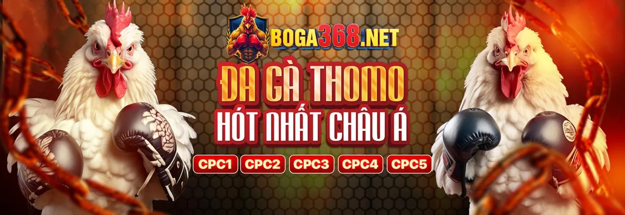 Các tài nguyên và hướng dẫn hữu ích từ Bet169